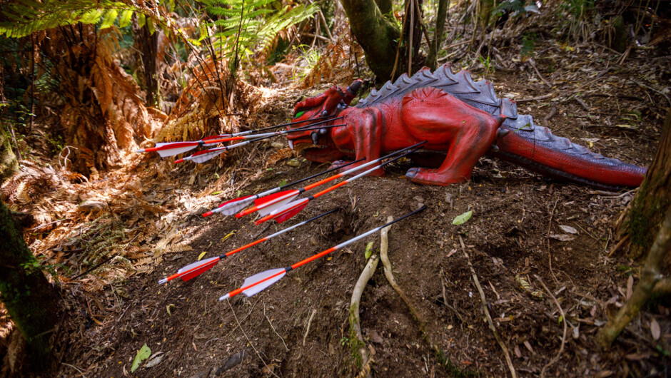 Hunt &quot;wild&quot; dragons with bow and arrow on New Zealand&#039;s highest rated archery adventure.