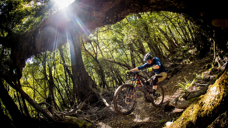 Epic back country Mountain biking Nelson New Zealand
70 km of hand crafted single track.