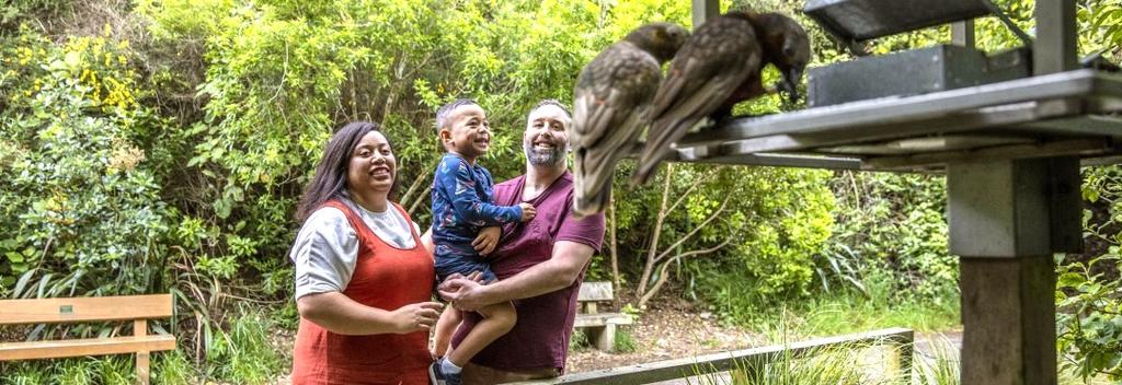 Have you ever been so close to kākā feeding before. It&#039;s mesmerizing.