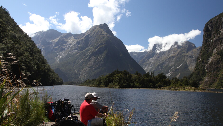 Sandfly Point, Milford Track
