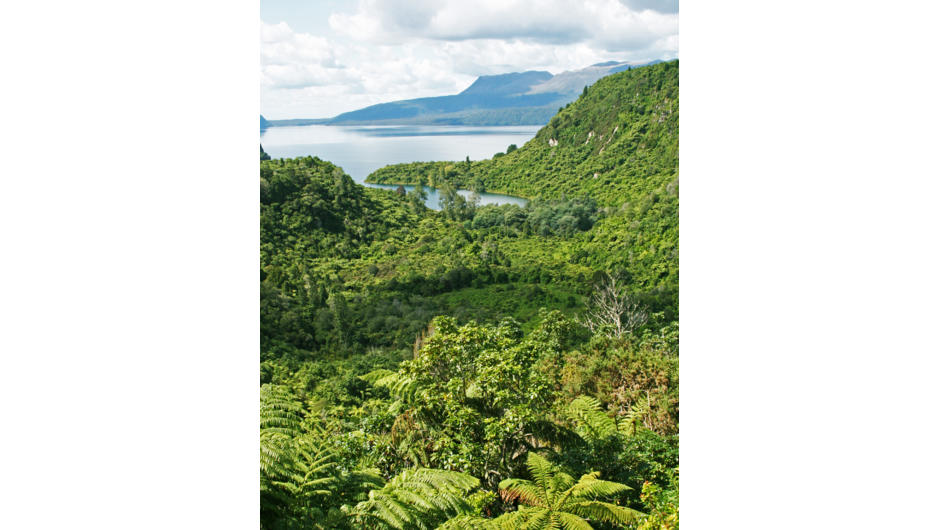 View of Lake Tarawera