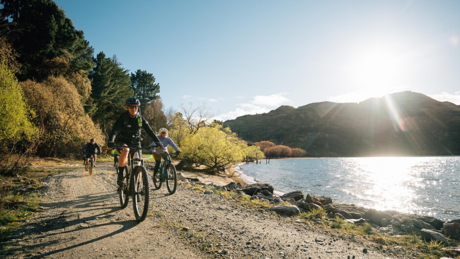 Experience one of New Zealand's most unique mountain biking experiences available for all ability levels
