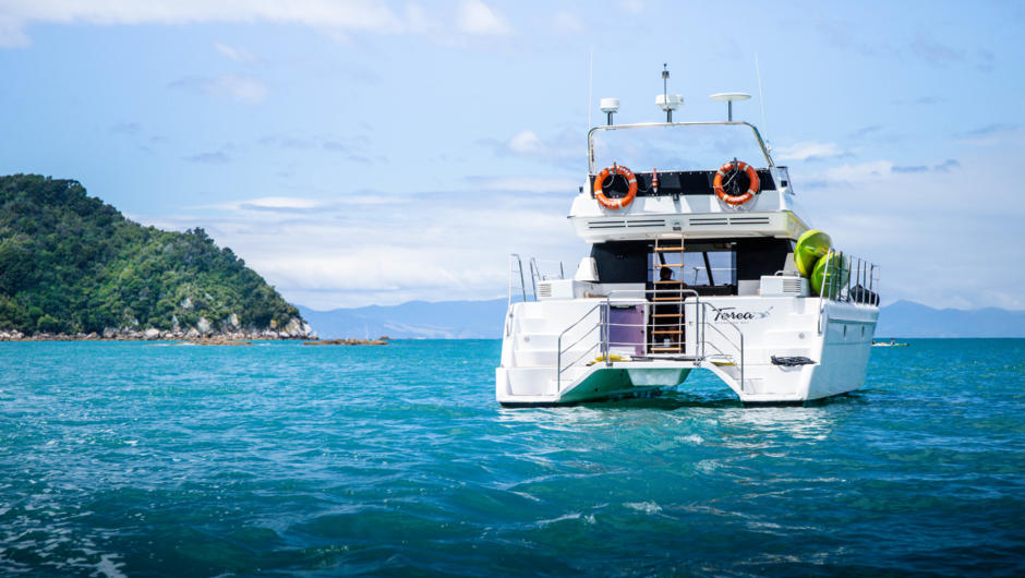 Welcome aboard our comfortable catamaran Torea. She is well appointed with a great fly deck for wildlife viewing and night sky stargazing. The Anchorage on a clear night is a fantastic dark sky landscape where the chance of seeing bioluminescence is high.