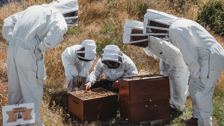 A visit to a working beehive is a highlight for many on the Wanaka Food Tour (seasonal).