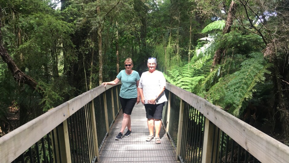 Bush walk at Te Waikoropupu Springs