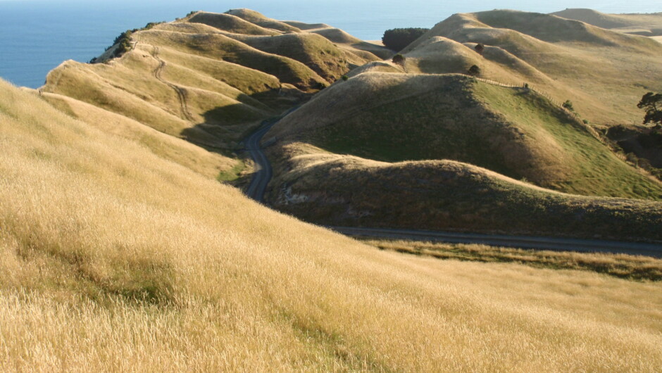 Travelling over the private farmland of Cape Kidnappers Station.