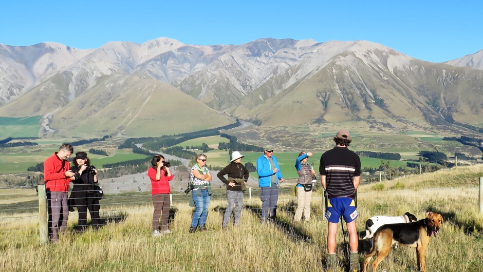 Explaining the finer points of mustering sheep.