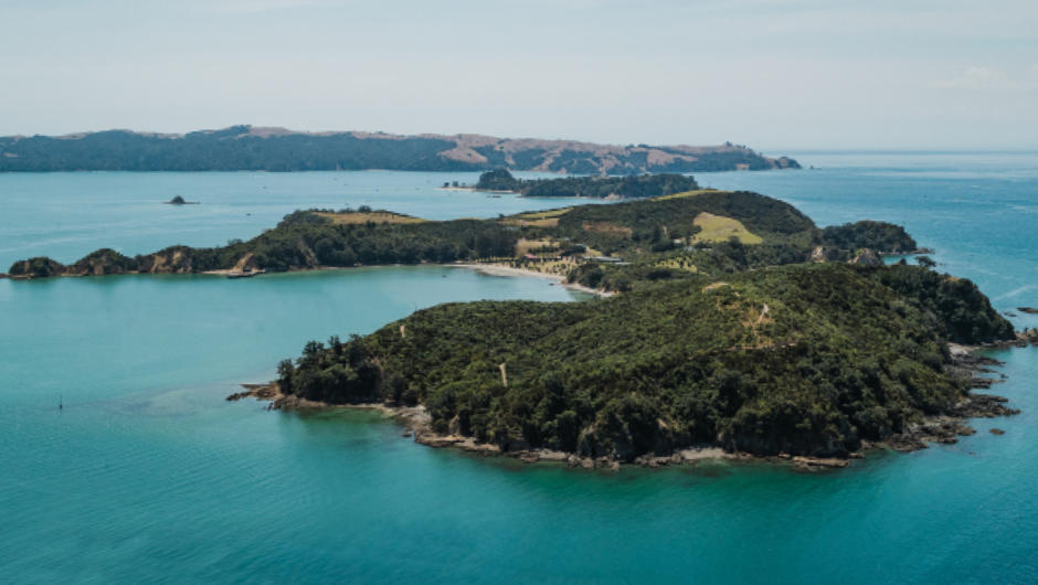 Catch the Fullers360 ferry to Rotoroa Island