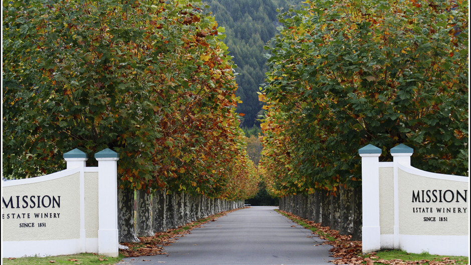 A very popular Winery is the oldest in New Zealand, the Mission Estate Winery. Visit with Hawkes Bay Scenic Tours.