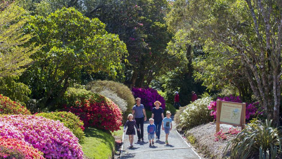 Pukeiti Rhododendron Stroll