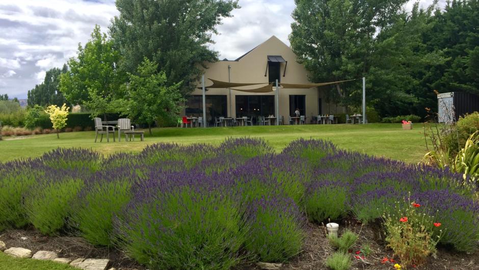 The lawn at the Carrick Winery restaurant