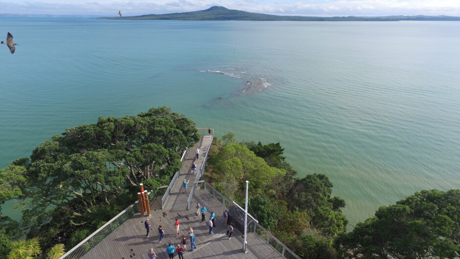 Auckland Highlights Luxury Tour including Sky Tower entry