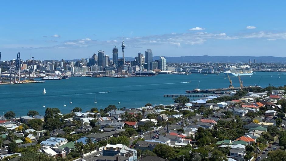 Auckland Highlights Luxury Tour including Sky Tower entry