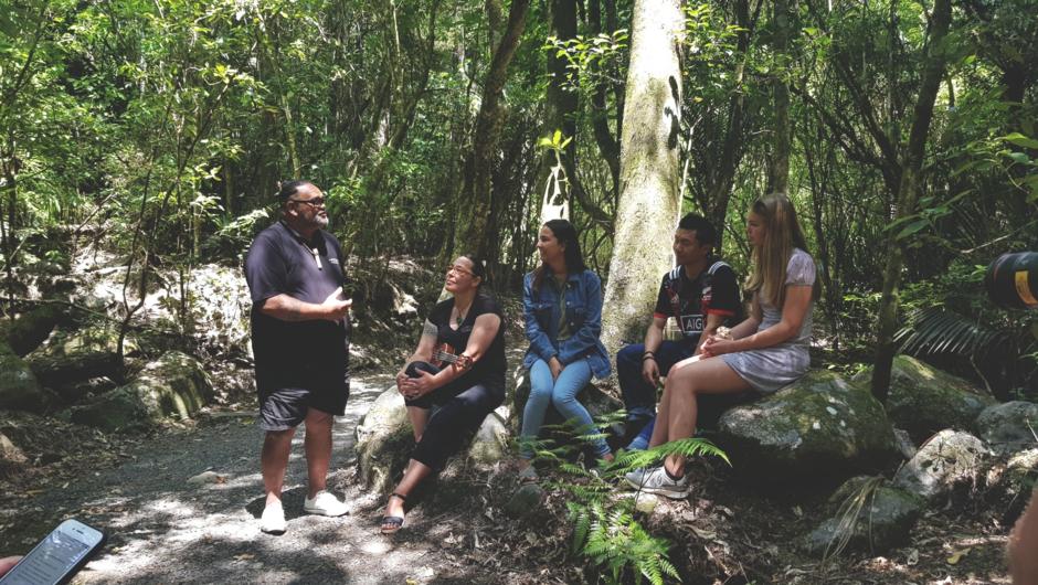 Sharing our stories amongst the wonderful Kauri canopy walkway.