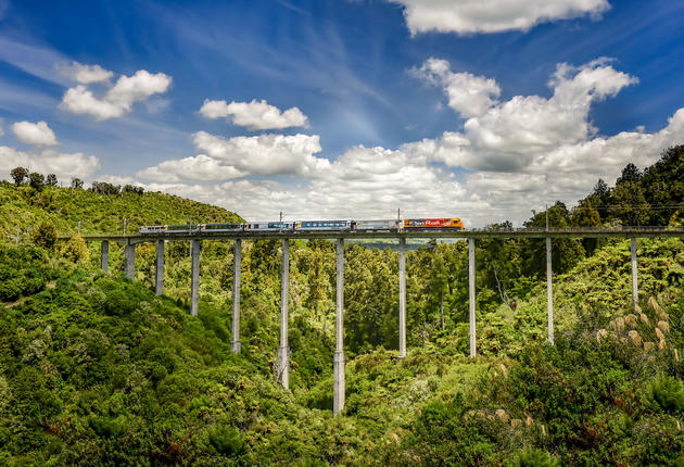 Witness a kaleidoscope of spectacular scenery as you travel through the heart of the North Island aboard the stunning Northern Explorer scenic train.