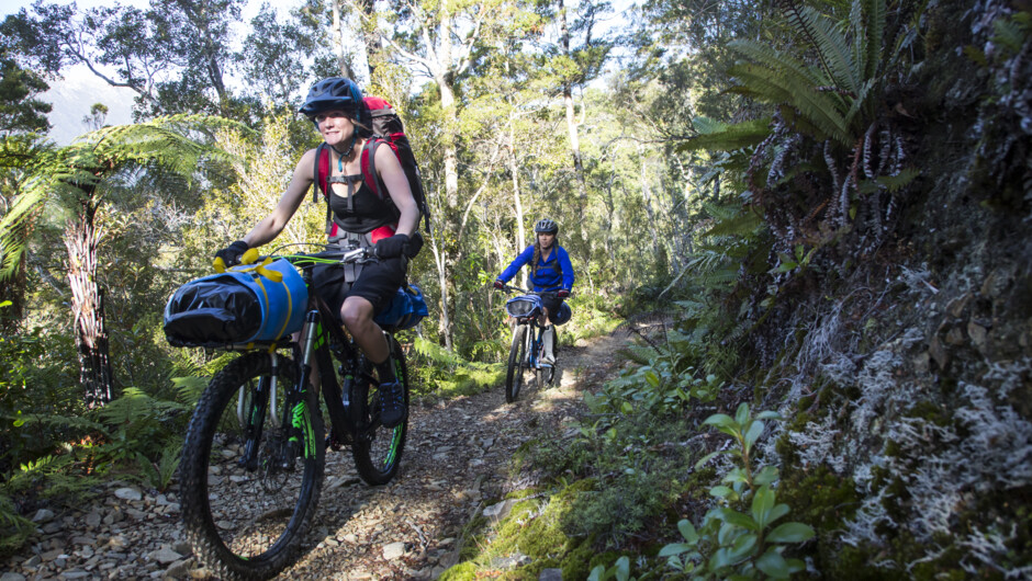 Cycling the Heaphy Track - available from 1 May - 30 November