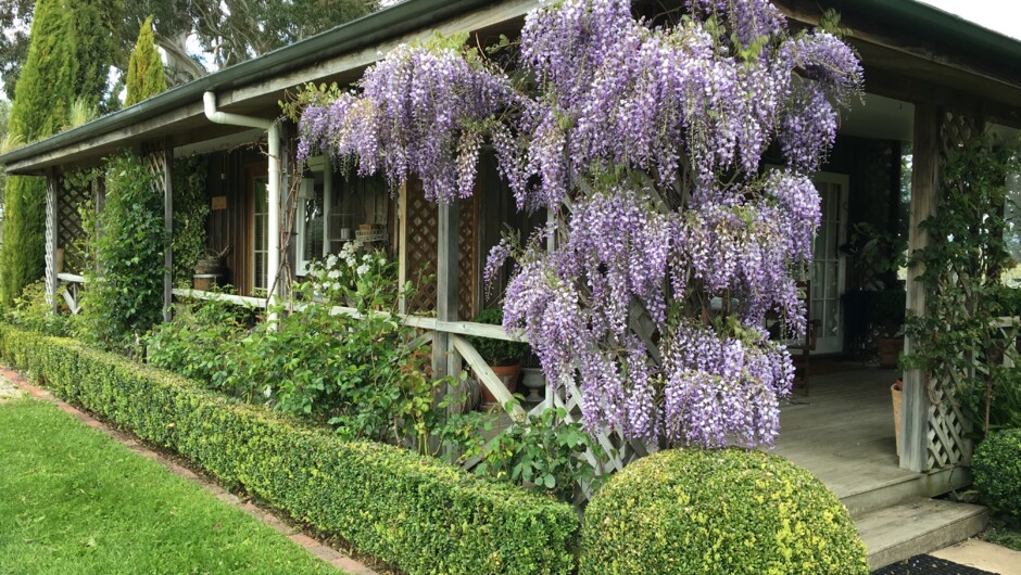 Stylishly-appointed Vineyard Cottage