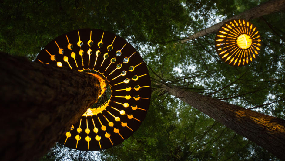 Trubridge lanterns illuminate the forest at Redwoods Nightlights.