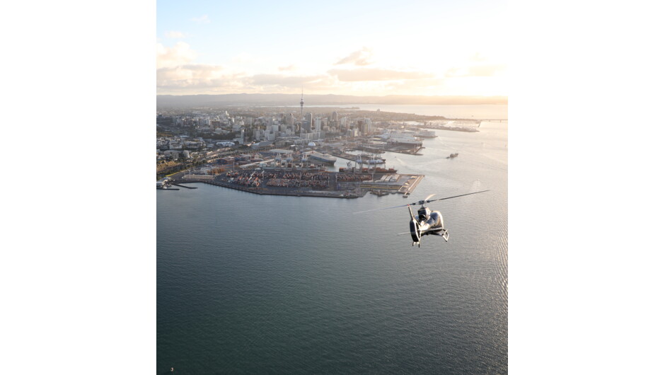 Extraordinary experiences. Every day. Auckland City