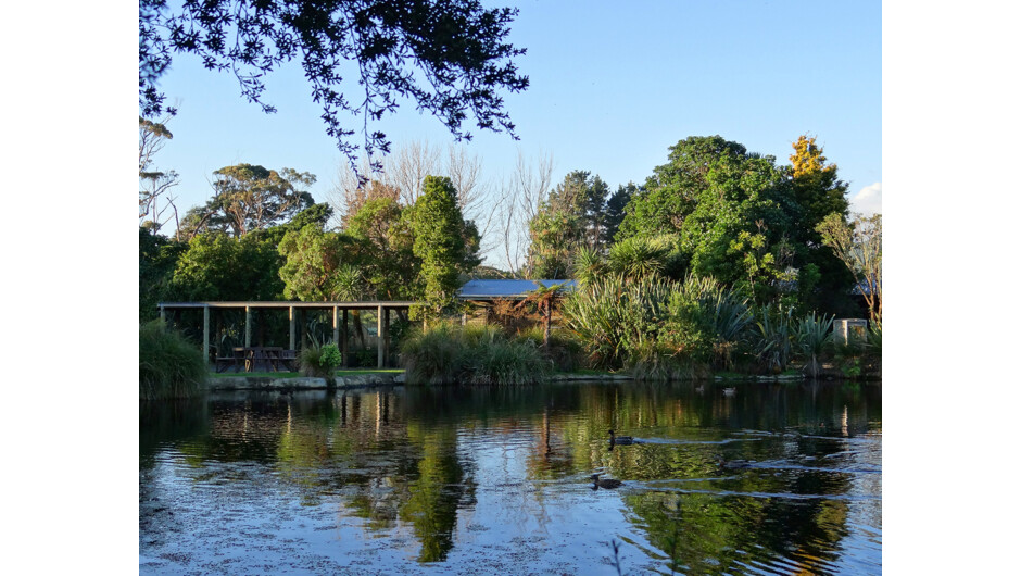 View of Theo's Cottage from across the main pond at Nga Manu