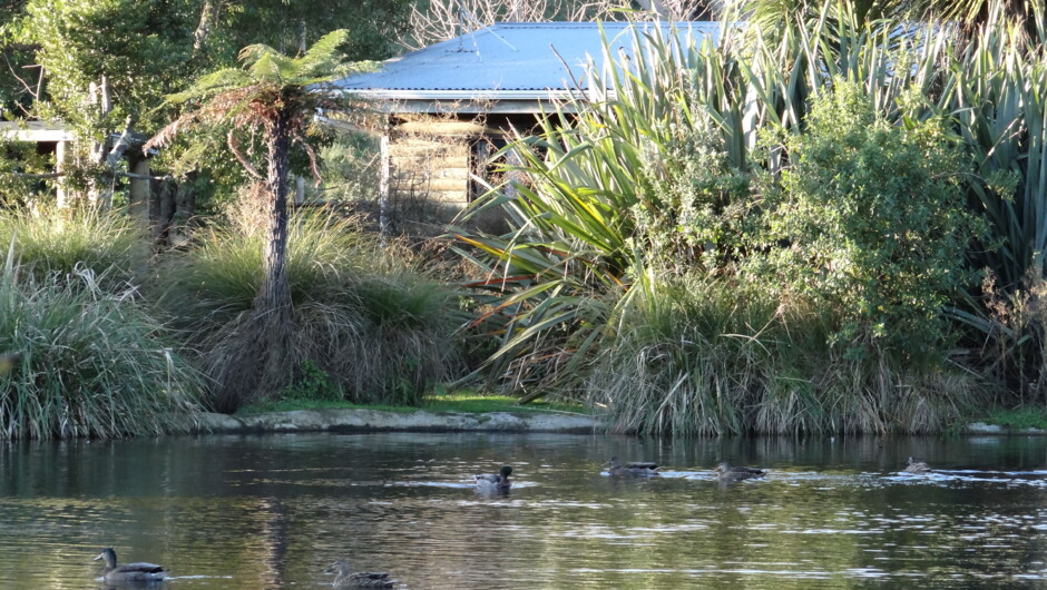 View of Theo's Cottage from across the main pond