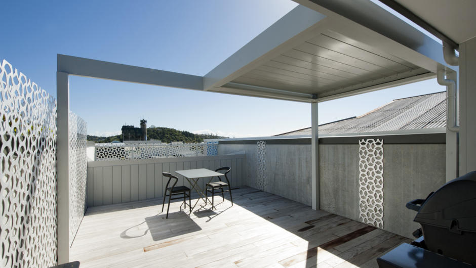Roof-top deck &amp; BBQ area