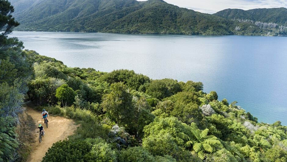 Punga Cove is situated along the Queen Charlotte Track and is a popular stop for walkers and mountain bikers.