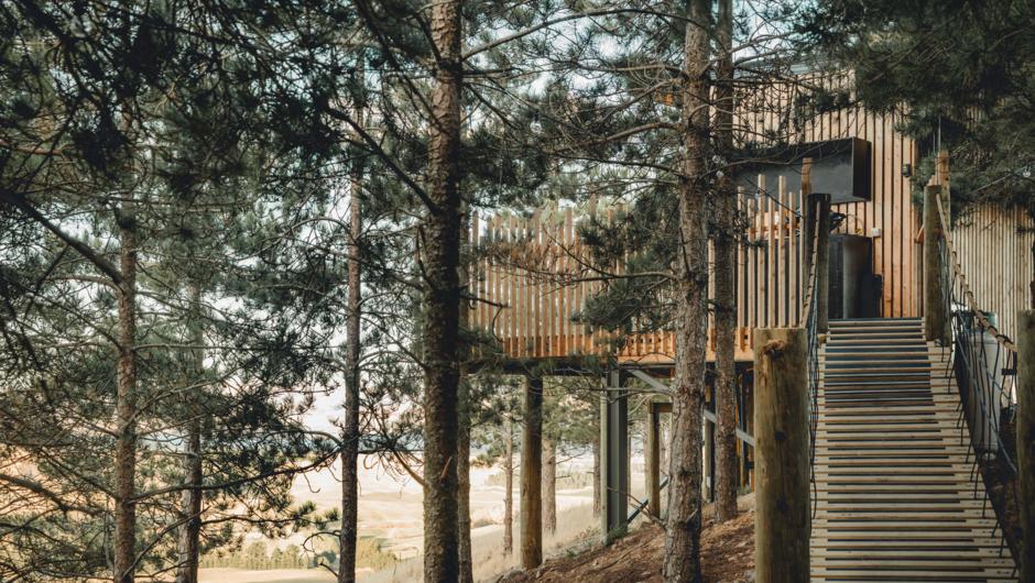Its not a treehouse without a swing bridge. And at Nest we have two, one for the treehouse and one to get to the sauna.