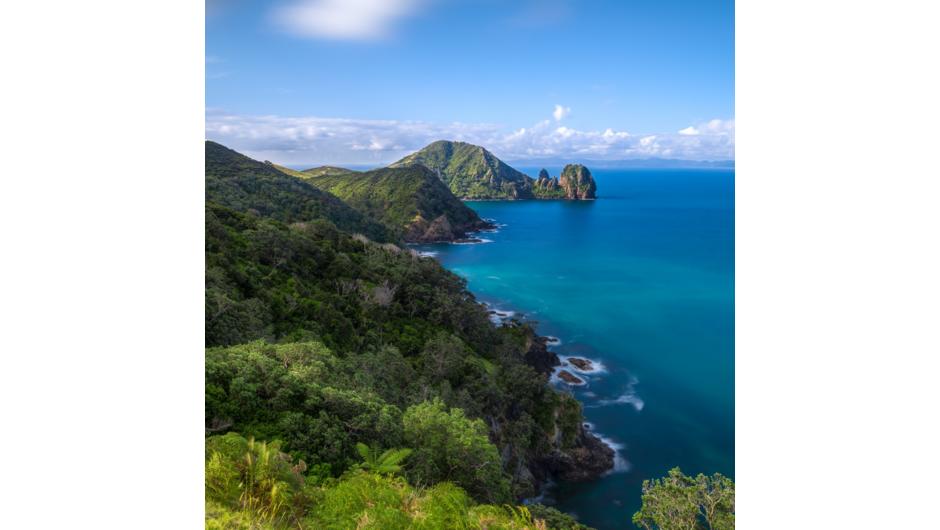 The top of the Coromandel Peninsular is the perfect base for a fishing adventure