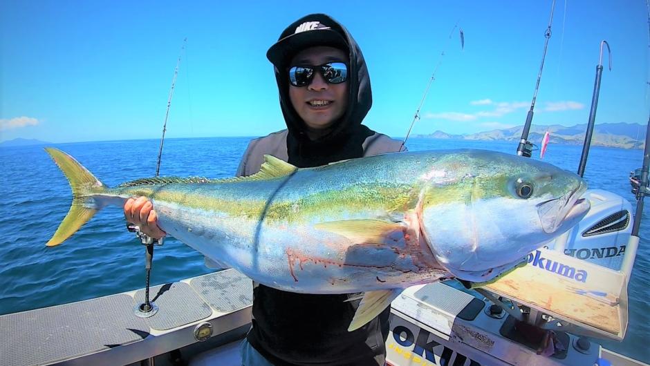 Kingfish are one of the best sports fish pound for pound