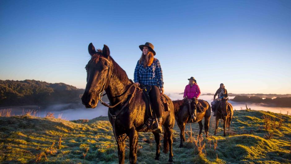 Blue Duck Station on Stray Journeys.  For entertainment, you have the option to go horseback riding over rolling green hills, or jump on a 4WD and travel through native bush to the ‘Top of the World’ - see Mount Ruapehu, Mount Tongariro and Mount Ngauruho