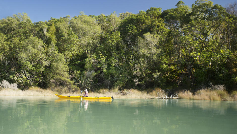 Kayaking on the Waimea estuary