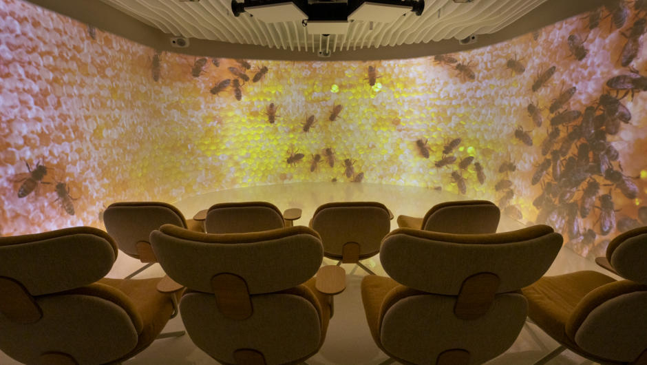 A 180-degree projection screen taking you into the world of bees.