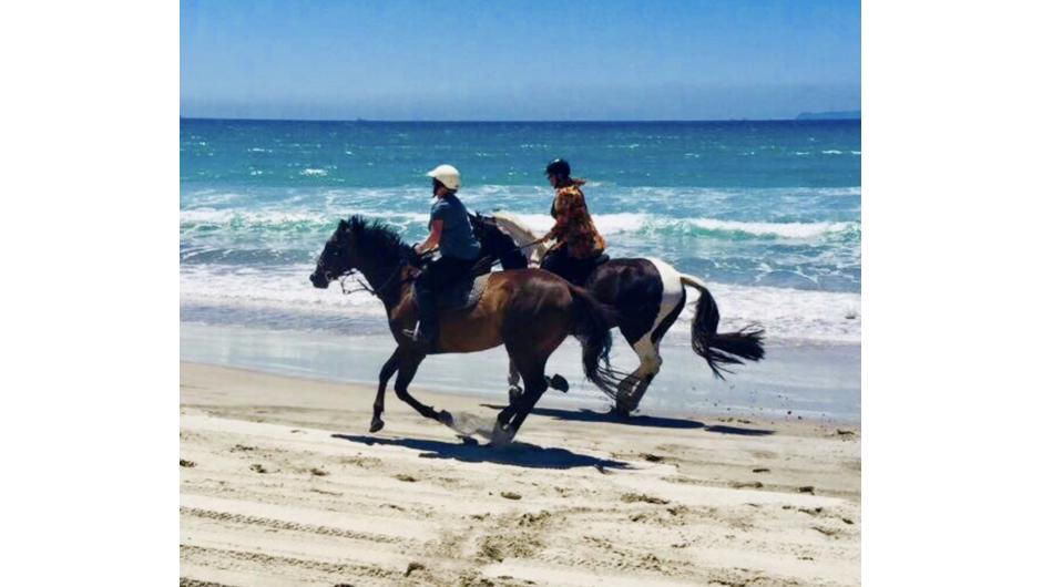 Pick a premium ride enjoy a canter along the beach  suited to experienced riders or riders wanting privacy