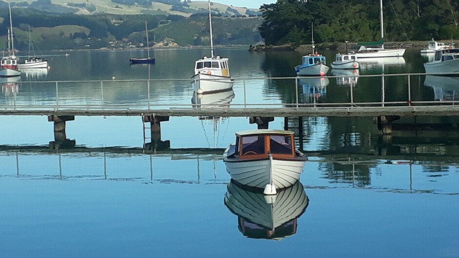 Otago Harbour