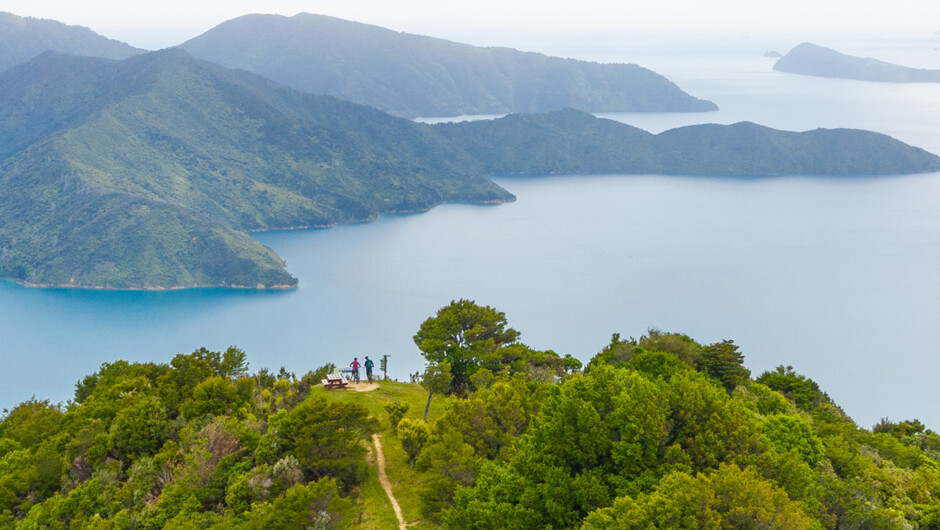 Welcome to the Marlborough Sounds, biking on the Queen Charlotte Track, Eatwells Lookout