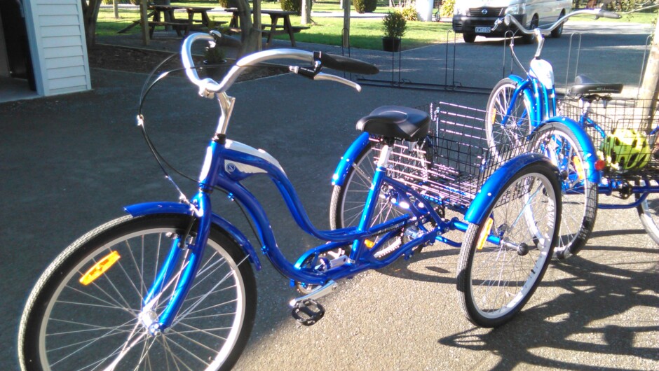 Our cruise trikes - great for those not confident on a 2 wheeled bike and great if you have a fur-baby with you too (we will pop in a cushion to make them comfy).