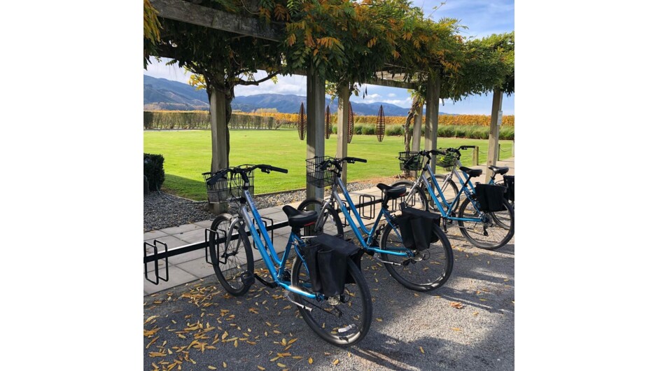Bikes all lined up whilst their riders are inside enjoying a tasting and a nibble of something scrummy.  This could be you.