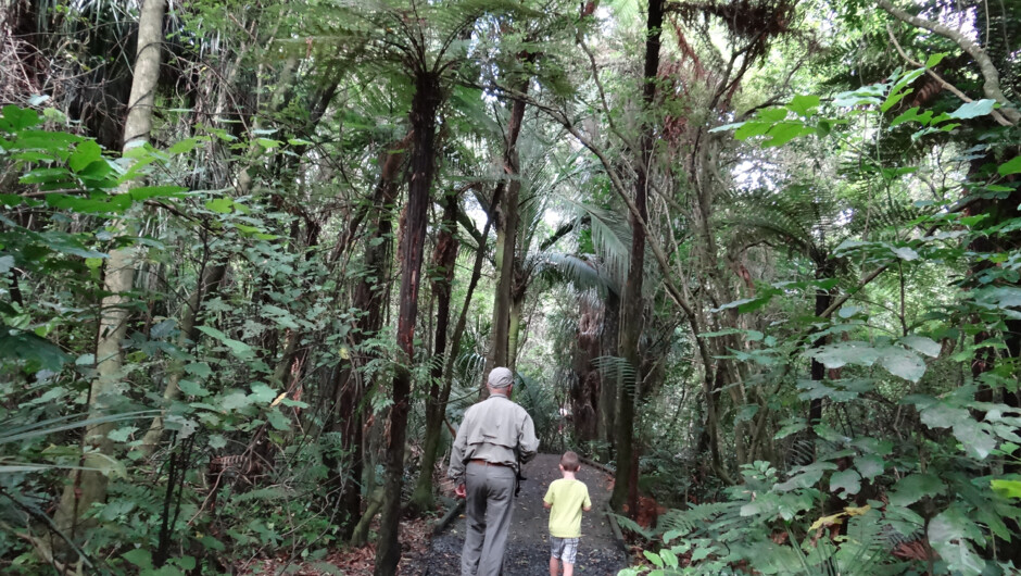 Ngā Manu is a special place where young and old can deepen their appreciation of the natural world