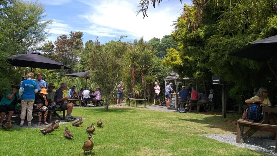 BBQ Island is the perfect place to picnic at Ngā Manu.