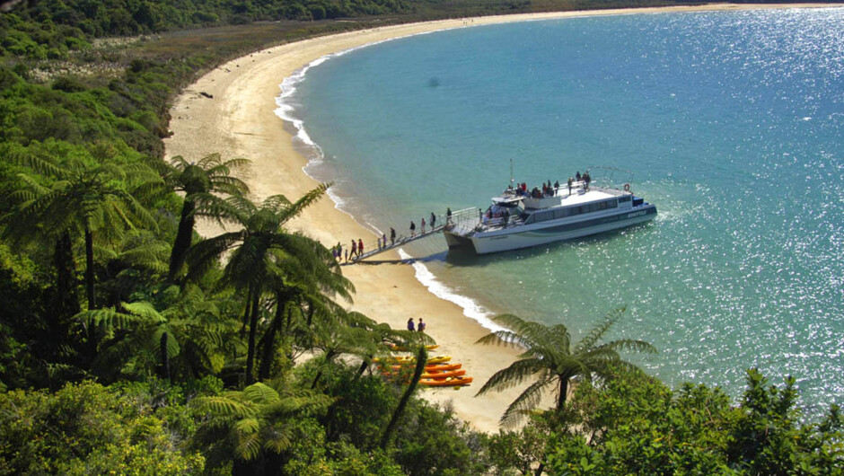 Cruise the Abel Tasman coastline aboard a 90-minute boat cruise.