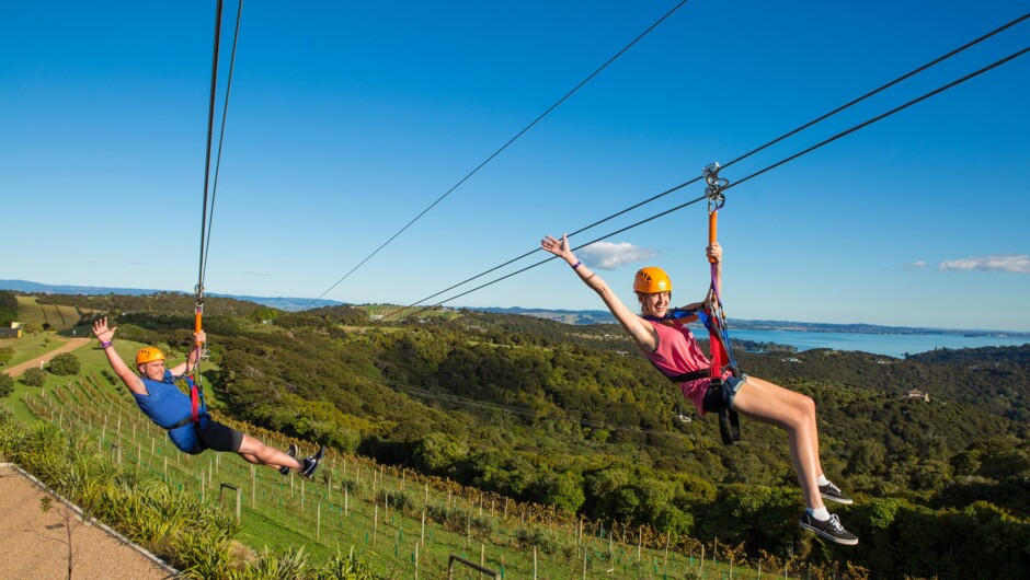 EcoZip Adventures offers exceptional flying fox ziplines and a fascinating nature walk on Waiheke Island, for nature lovers of all ages.