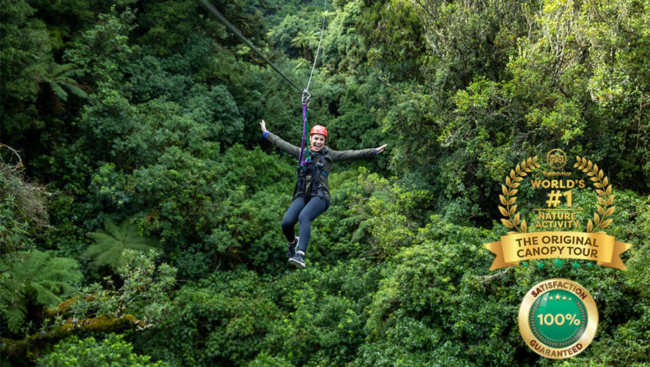 The only place in the world you can soar from the treetops of giant rimu.
