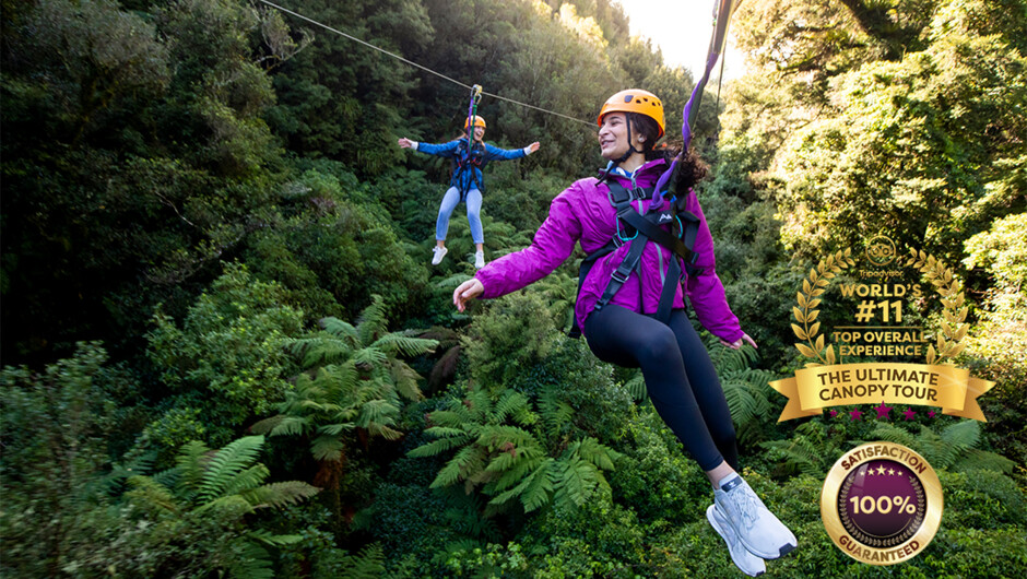 Race your friends down our incredible 400m tandem zipline.