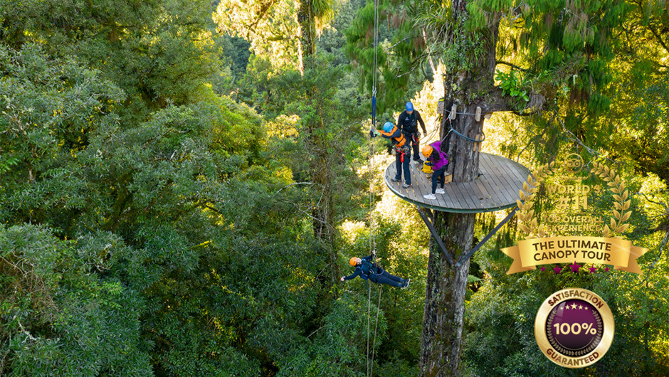 See stunning views from our platforms high in the canopy and get a different perspective on our controlled decent.