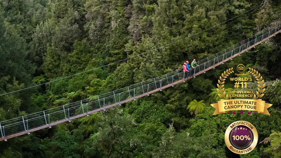 Explore every layer of the canopy via swing bridges, cliff walks and huge zip lines.