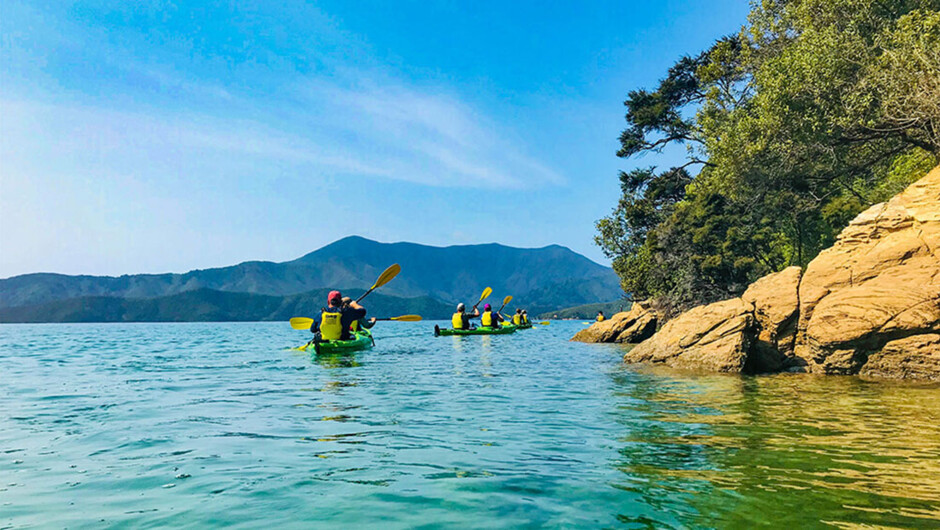Kayak Queen Charlotte Sound