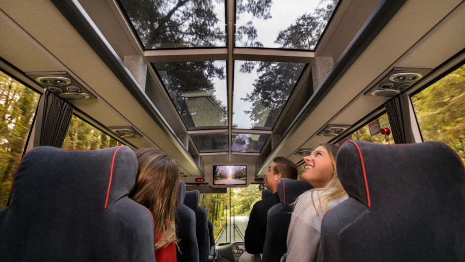 Glass roof coach allows for the best viewing of the Milford Road