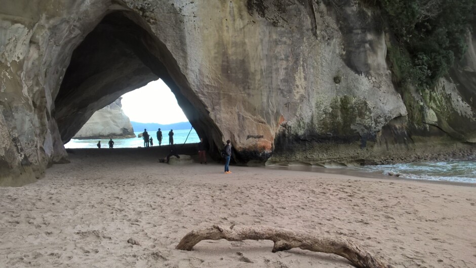 The wonders of nature include Cathedral Cove.