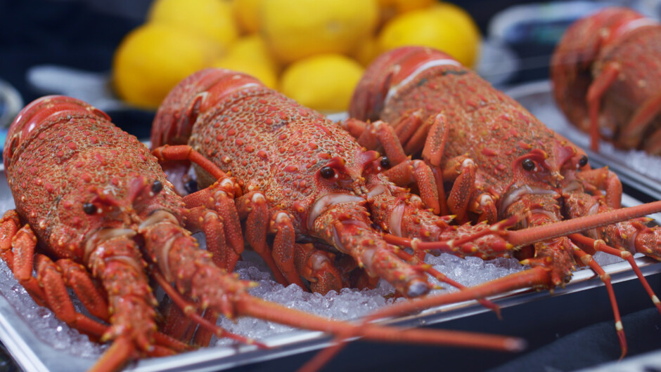Crayfish from Karaka Lobster - Premium Seafood and Cafe